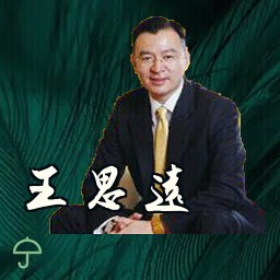 王思远